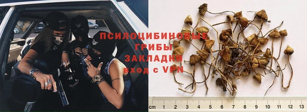 прущая мука Беломорск